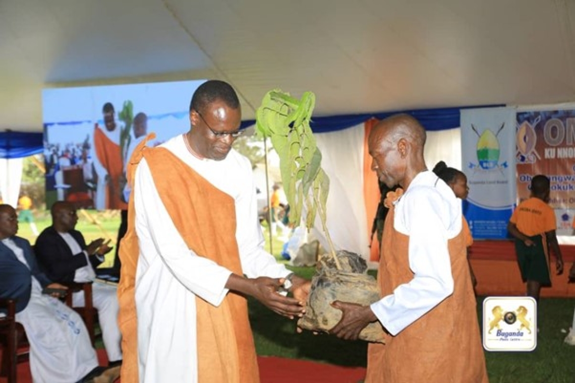 The Chairperson of the Council of Chiefs, Chief Nnamwama Augustine Kizito, received a tree seedling as part of the environmental conservation initiative Image